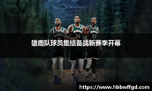 boyu博鱼官方app