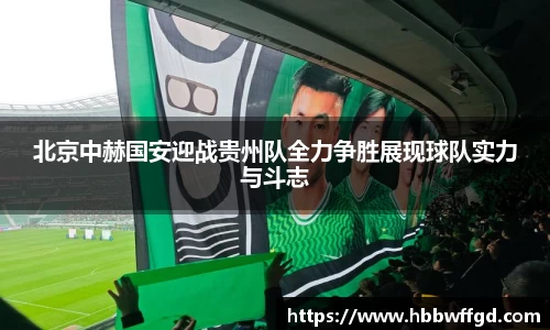 boyu博鱼官方app